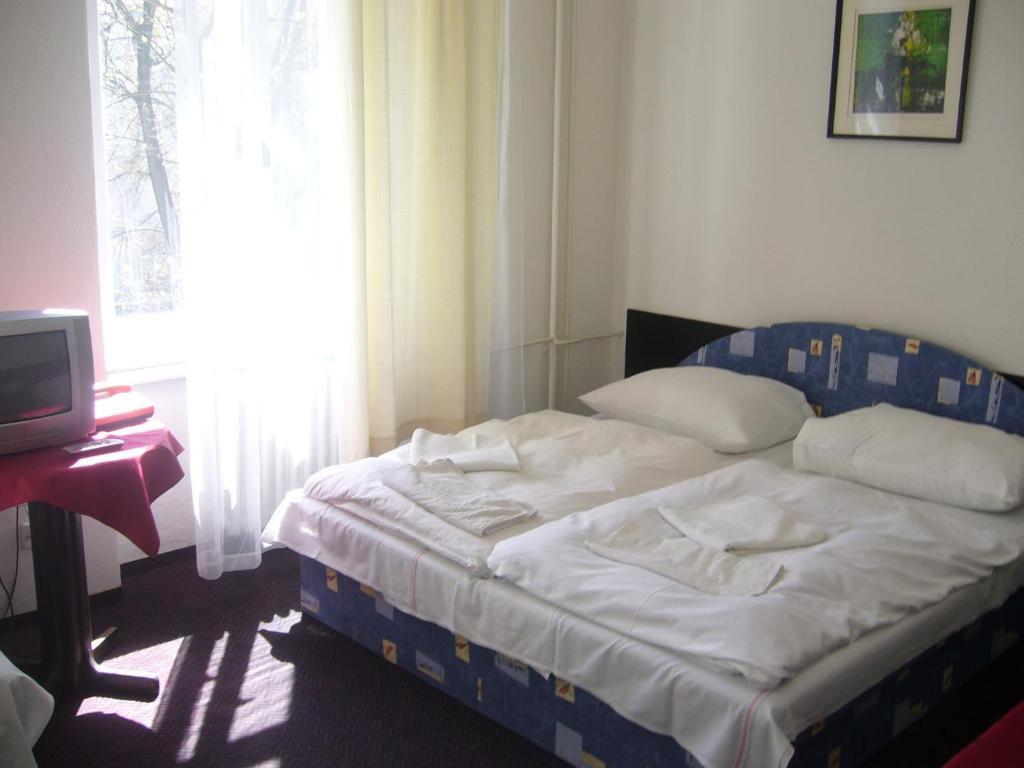 Hotel Posta ベネショフ エクステリア 写真
